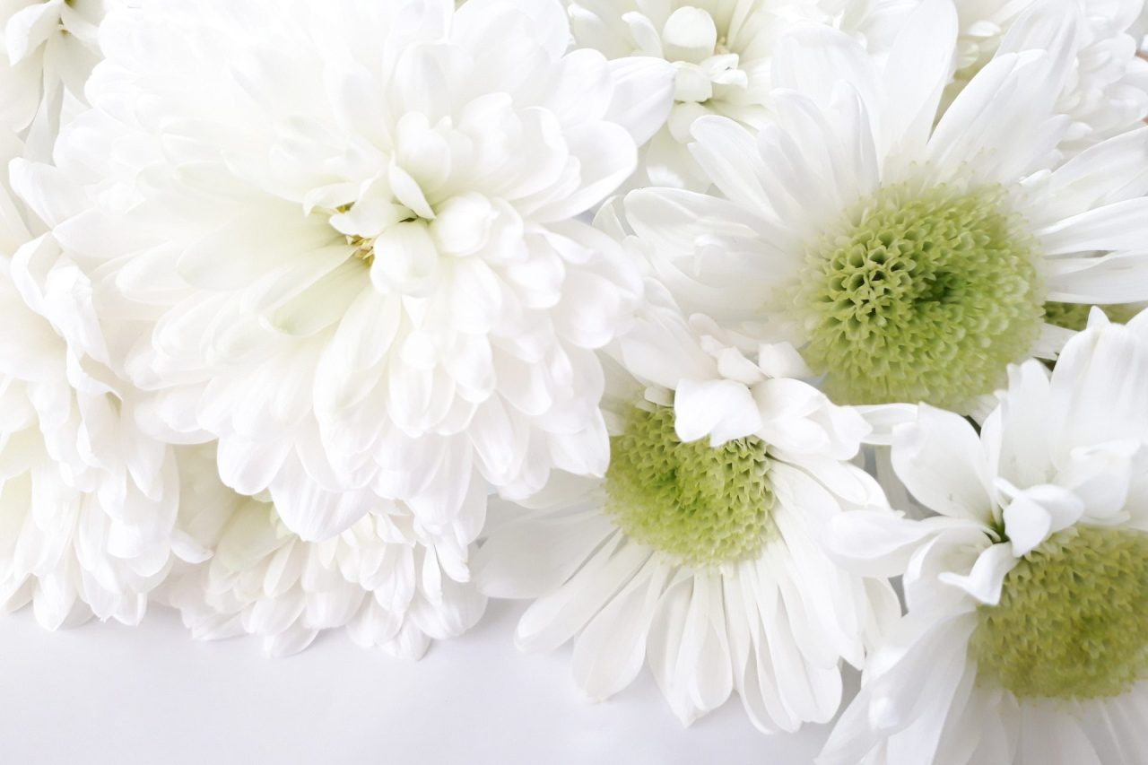 故人を偲び、思い出を語らうひとときを「ご法宴プラン」